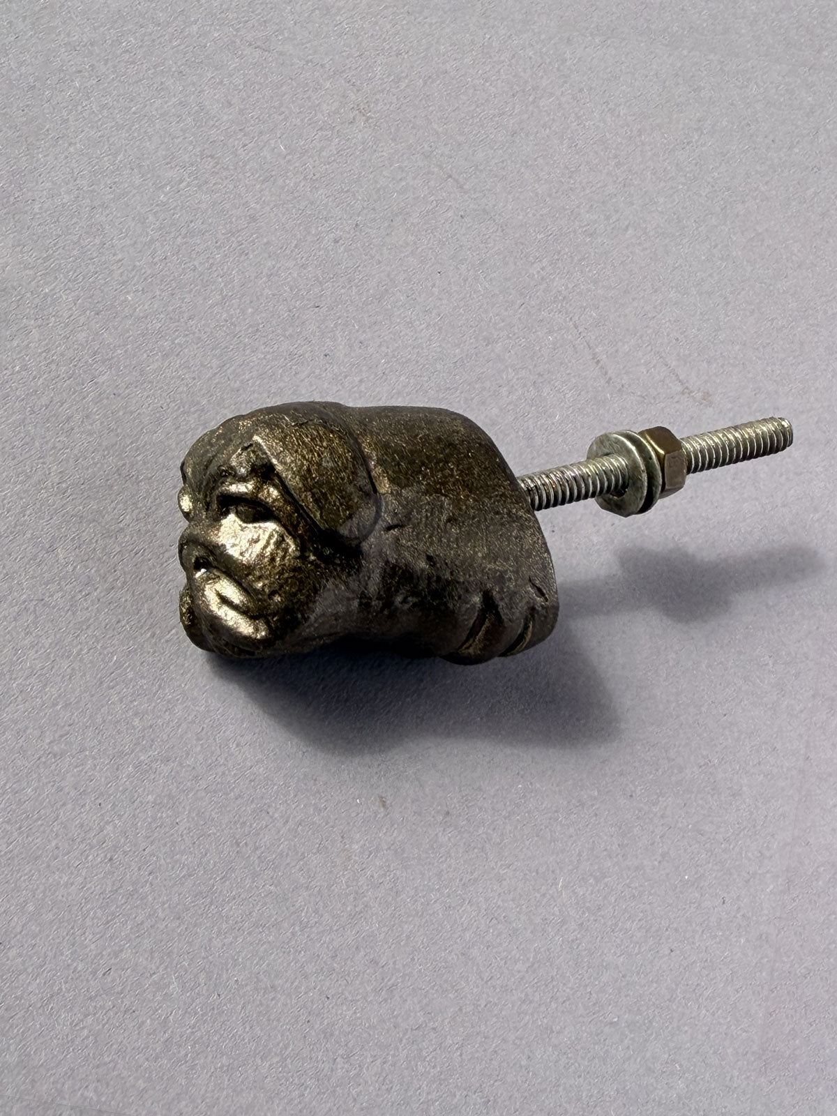 Cast iron knob Bulldog