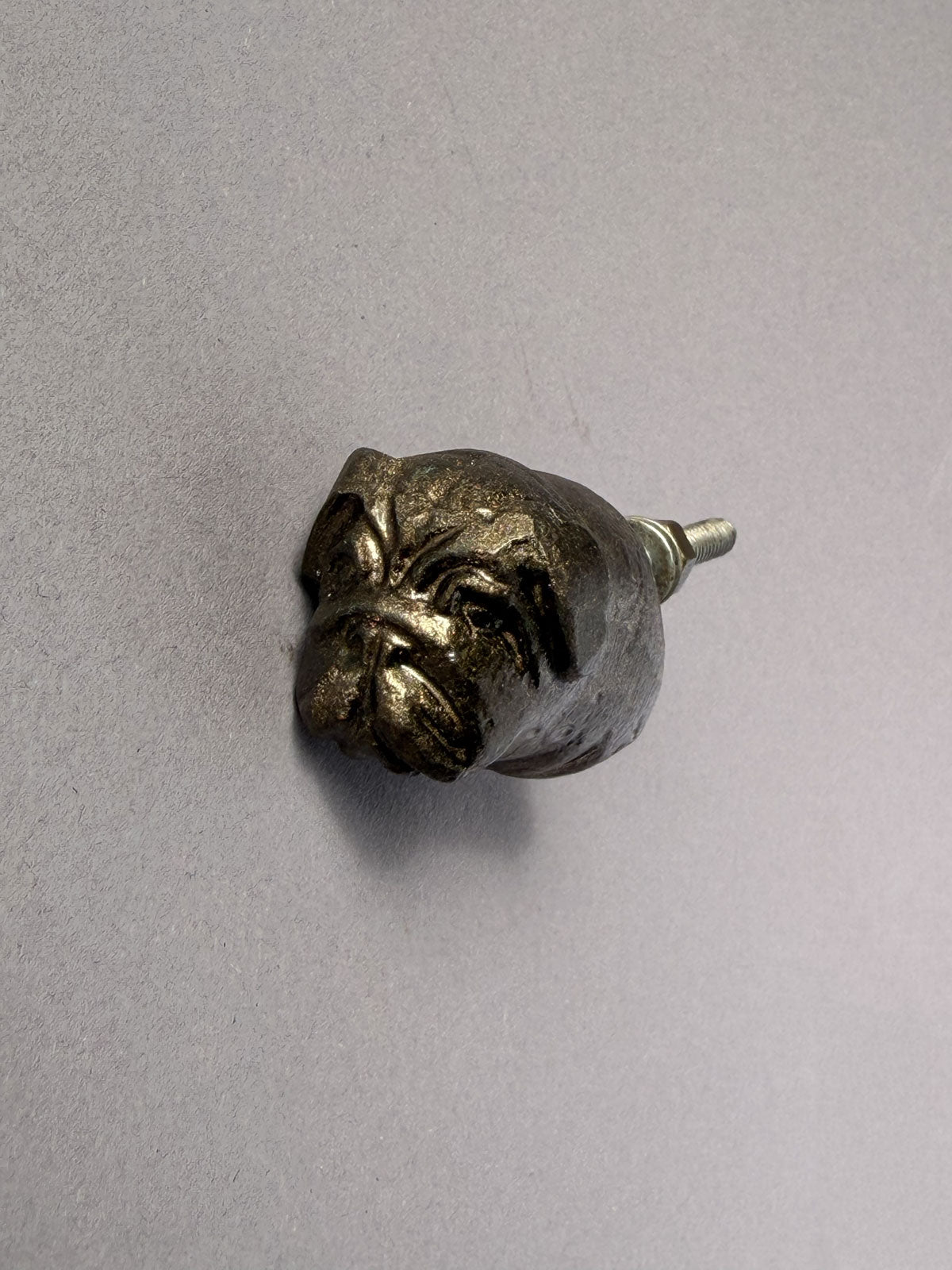 Cast iron knob Bulldog