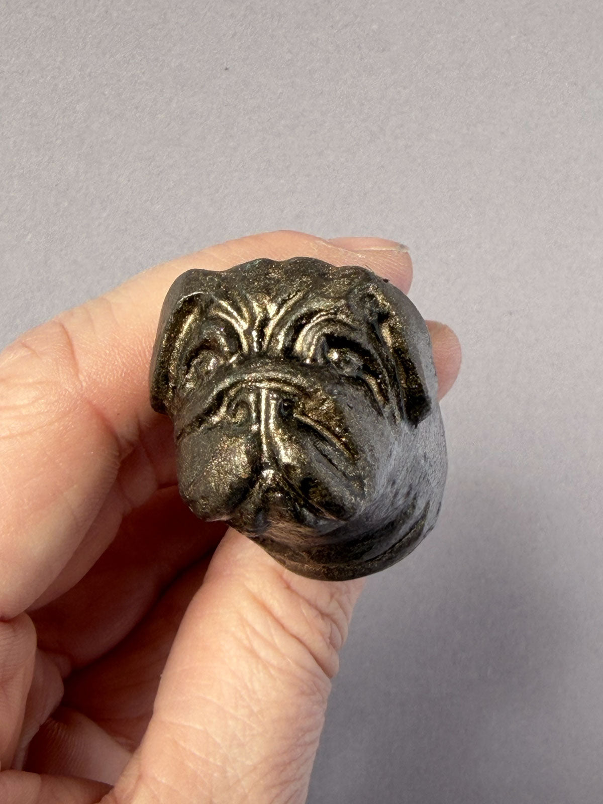 Cast iron knob Bulldog