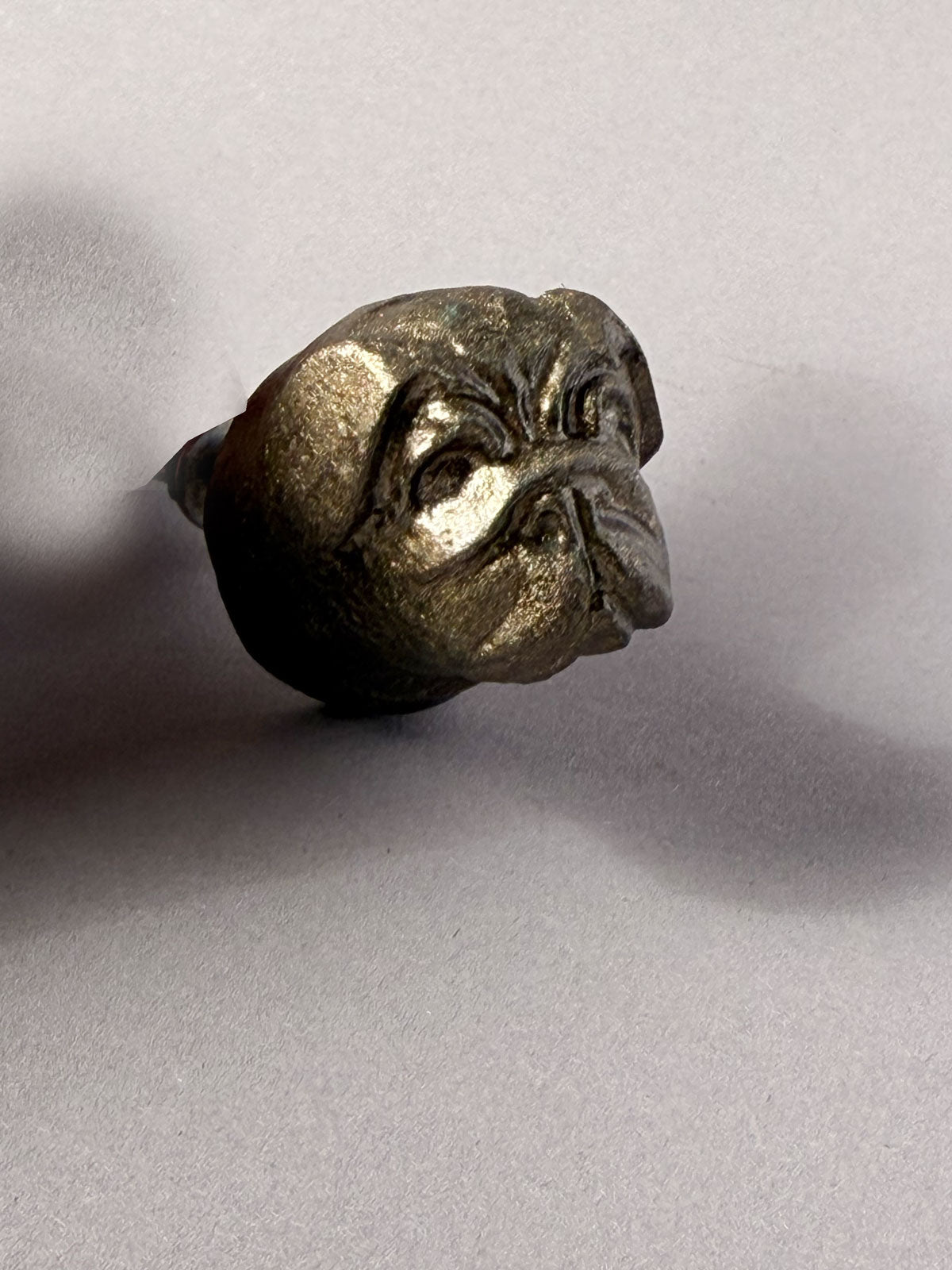 Cast iron knob Bulldog