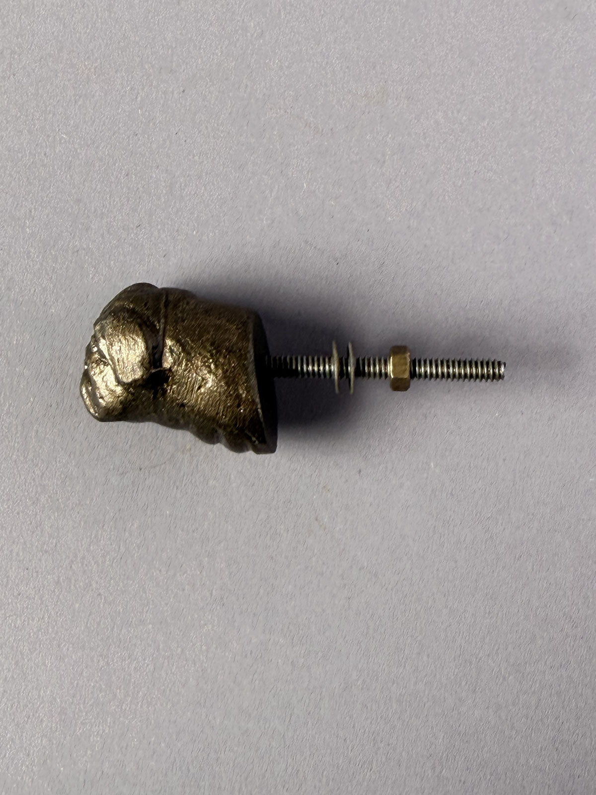 Cast iron knob Bulldog