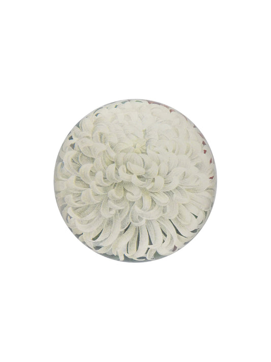 Paperweight White Chrysanthemum