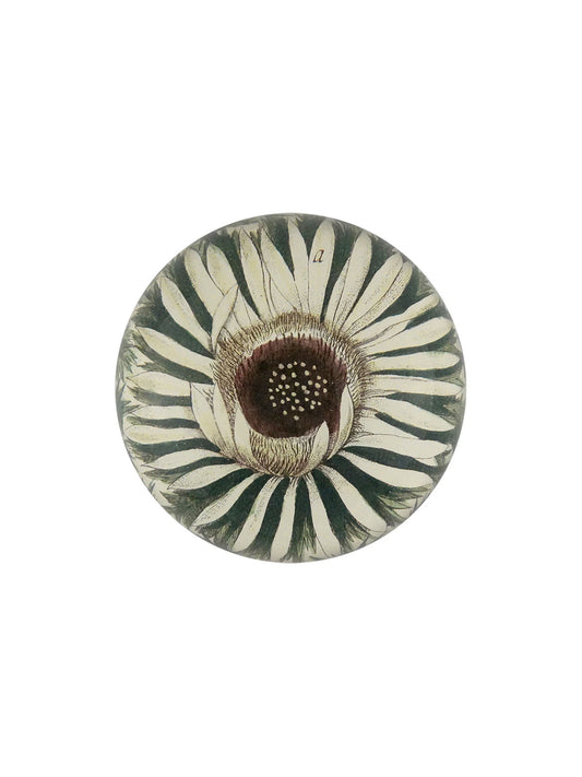 Paperweight White Flower