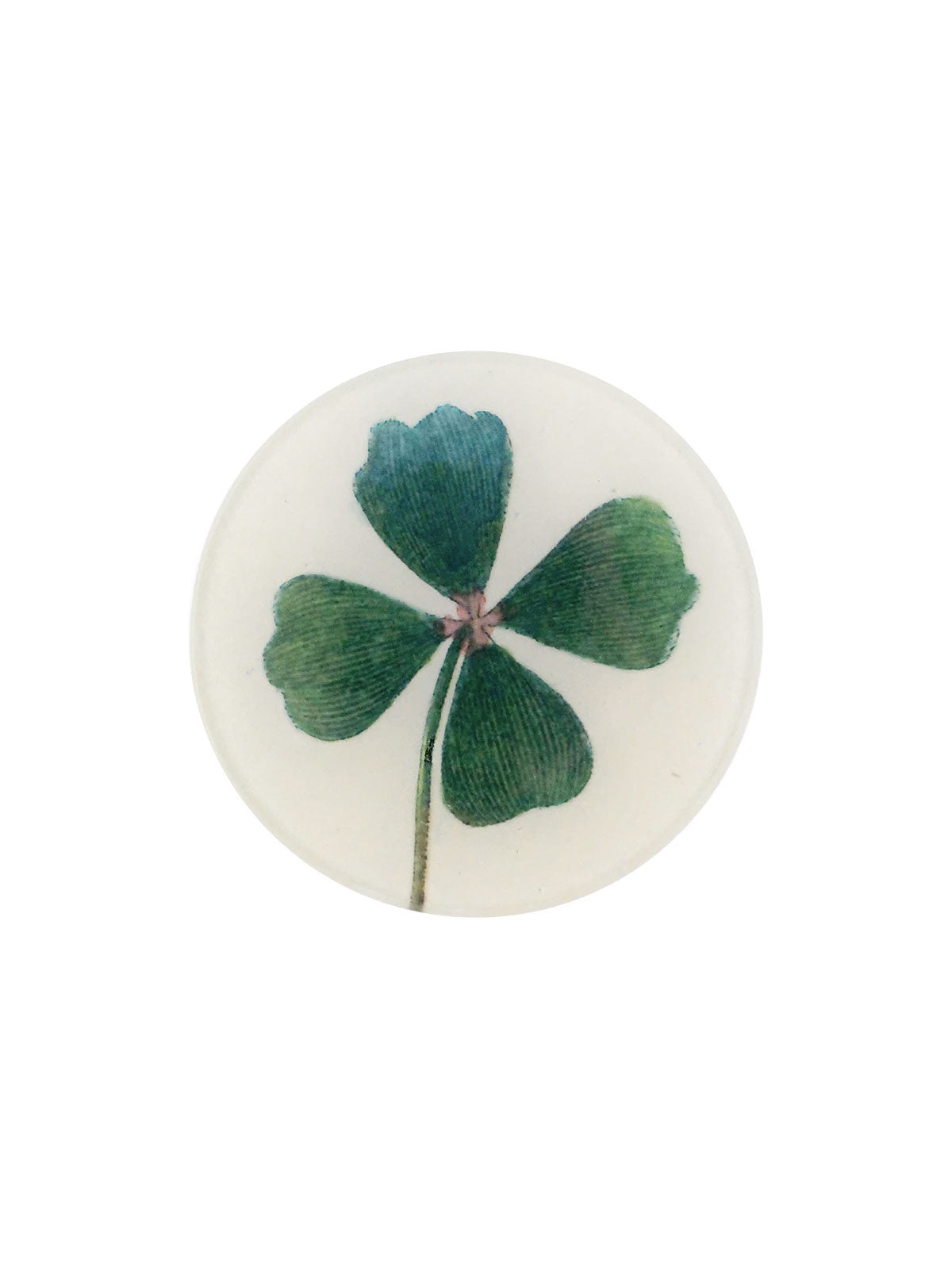 Plate Clover