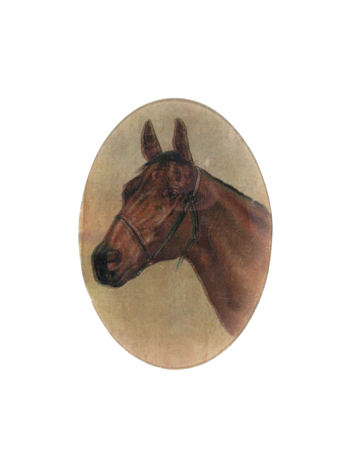 Plate Horse