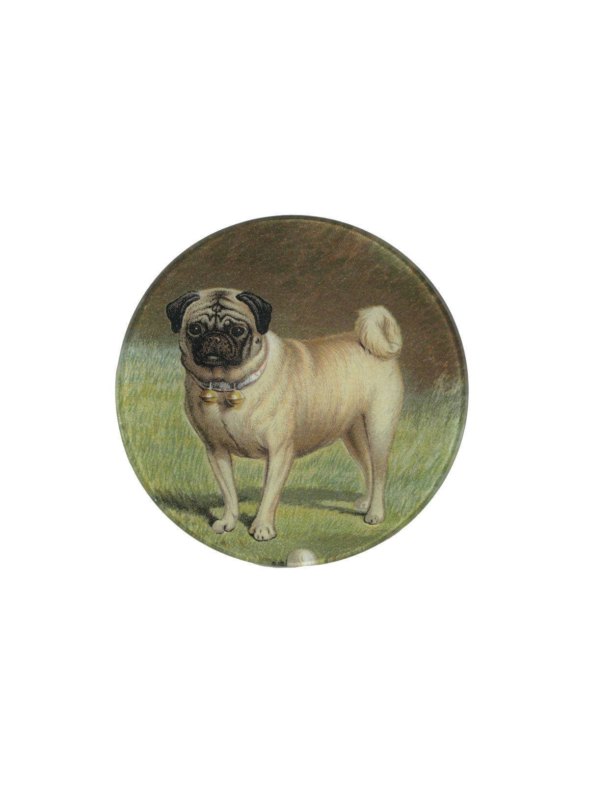 Plate Pug & Ball