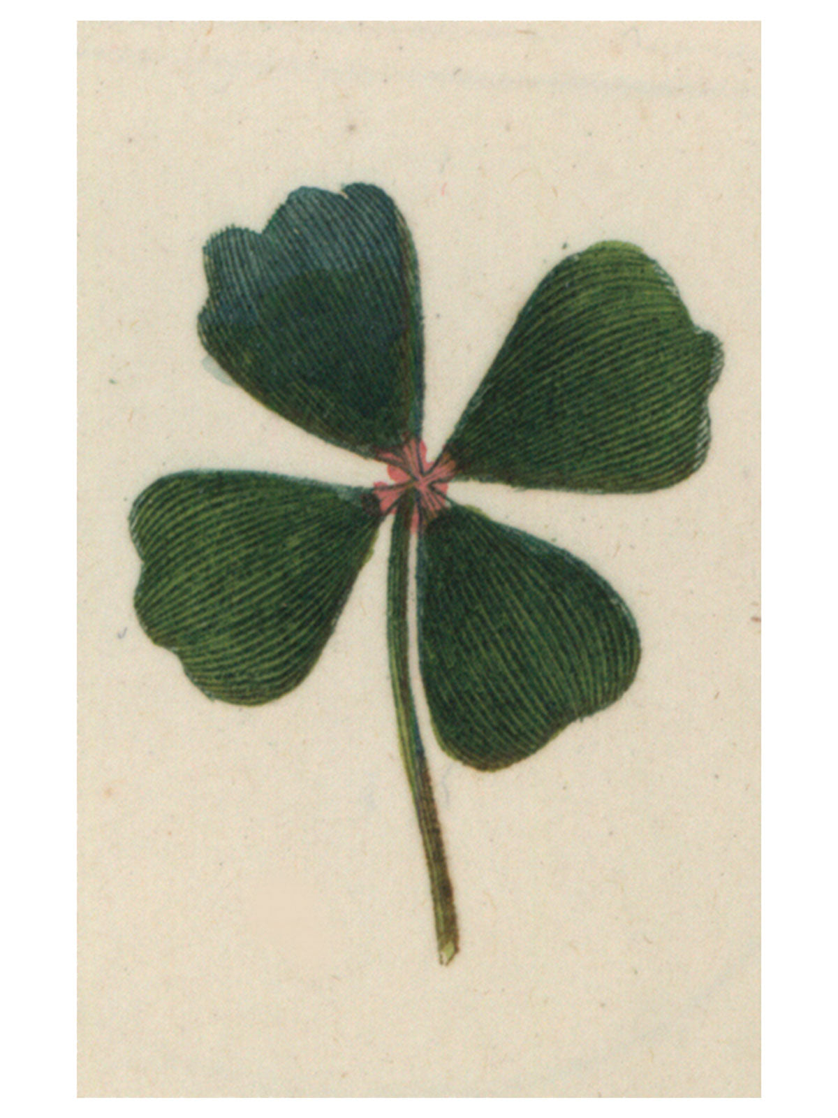 Clover Post Card