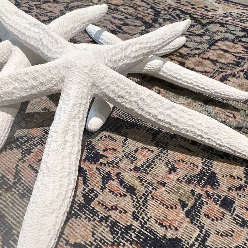 White seastar
