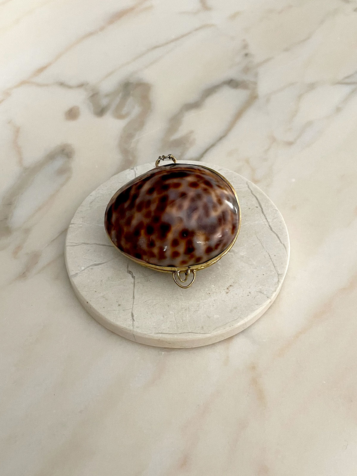 Shell Box Tigris