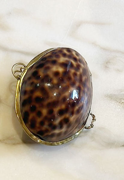 Shell Box Tigris
