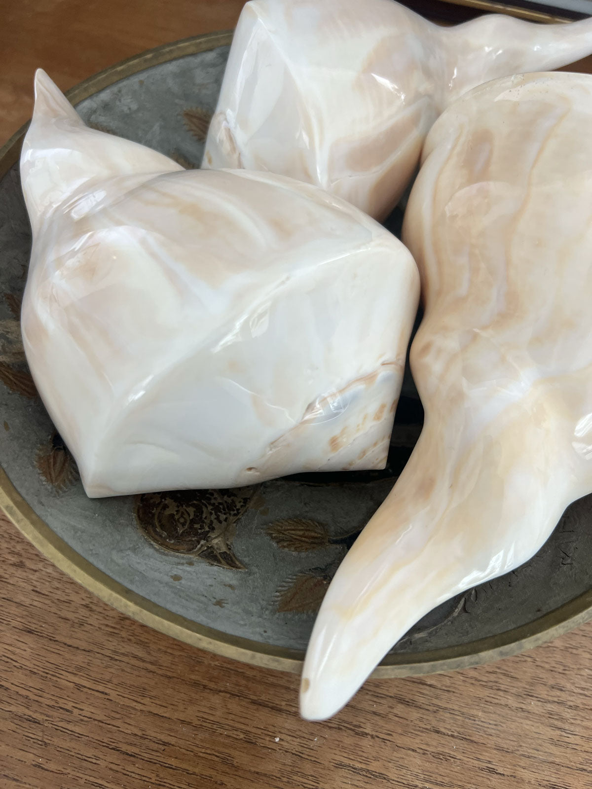 Spiral shell