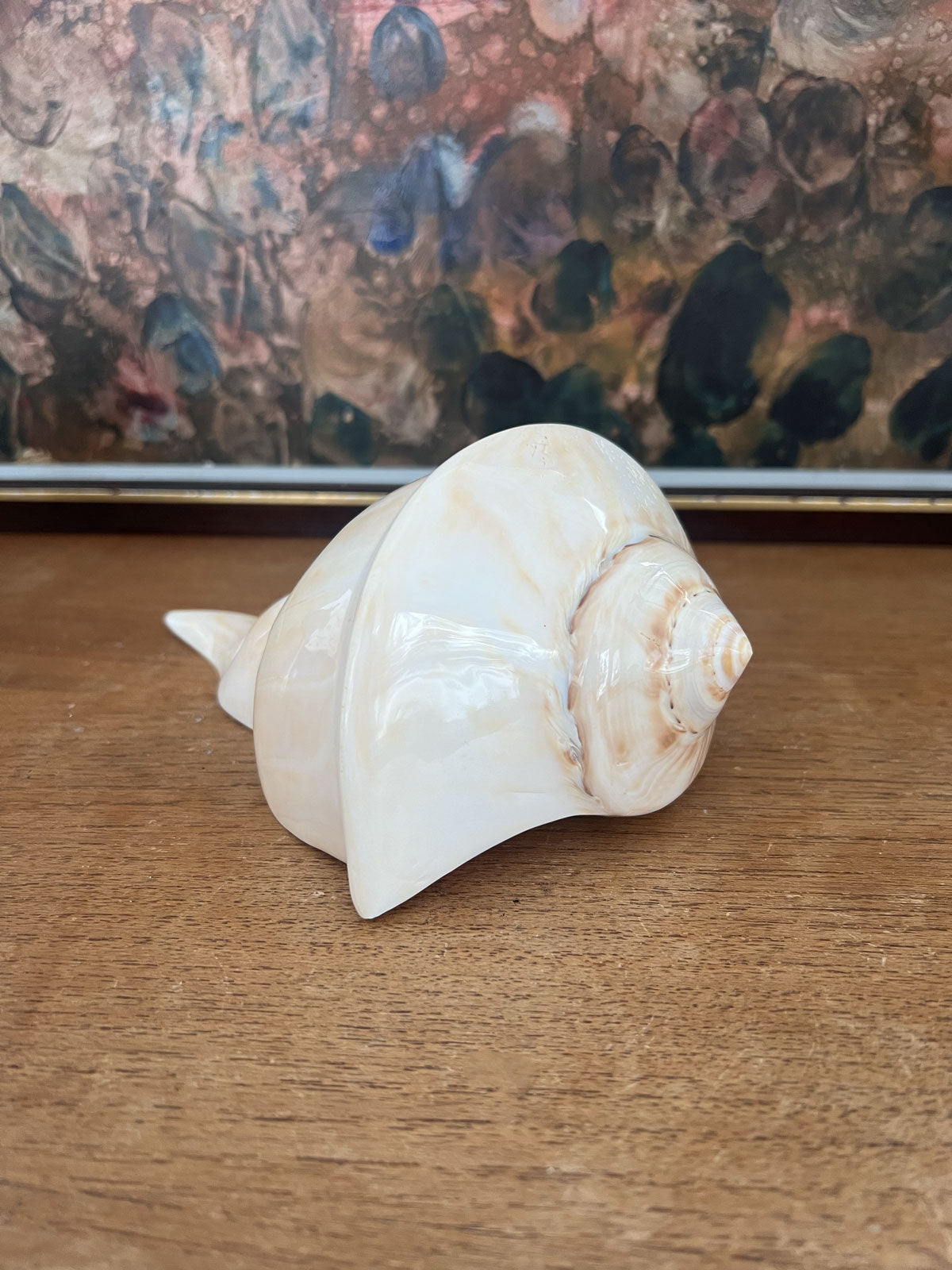 Spiral shell