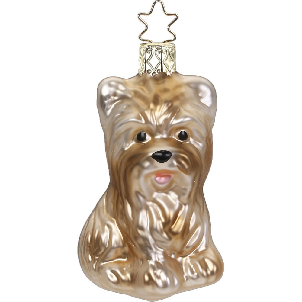 Yorkshire terrier Ornament