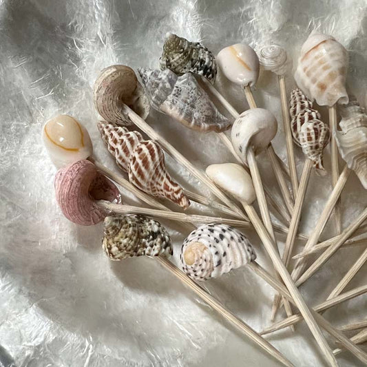 Cocktail shell picks 12 pcs