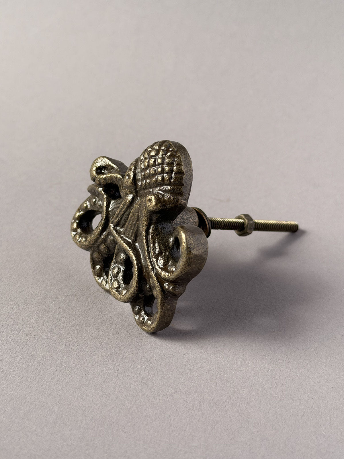 Cast iron knob Octopus