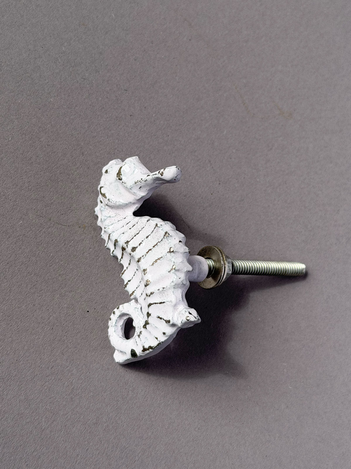Cast iron knob Seahorse