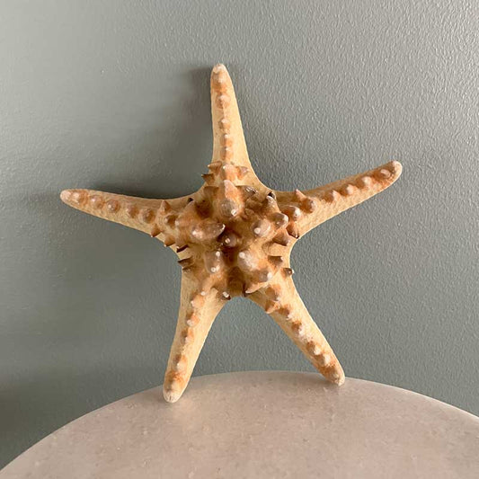 Natural Seastar